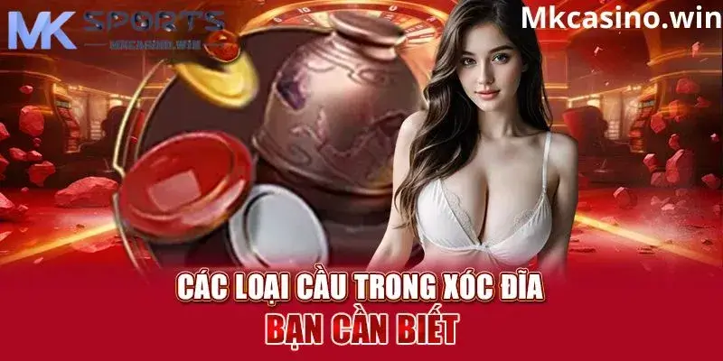 tổng hợp một số cầu thường xuất hiện trong xóc đĩa nhà cái MK