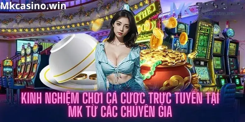 Kinh nghiệm khi tham gia nhà cái MK 