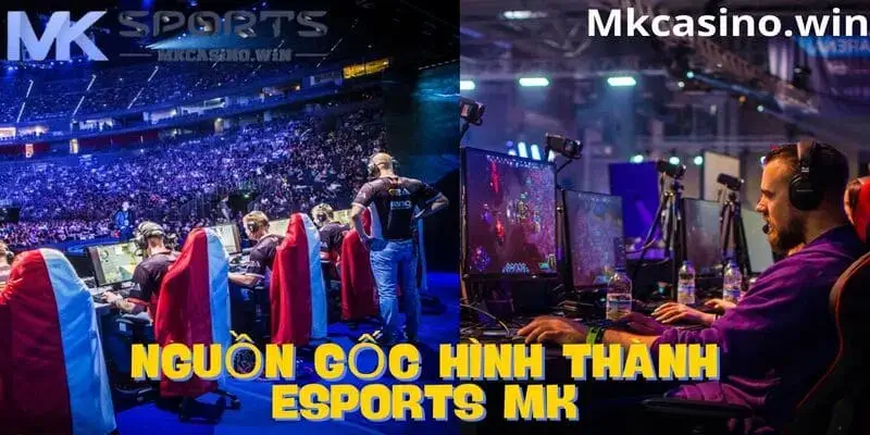 Nguồn gốc hình thành nên thể thao điện tử Esports